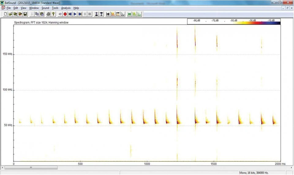 Pettersson's BatSound V4.x 2 Pettersson's BatSound V4.x - Image 2