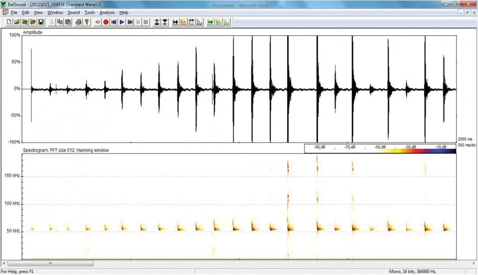 Pettersson's BatSound V4.x 3 Pettersson's BatSound V4.x - Image 3