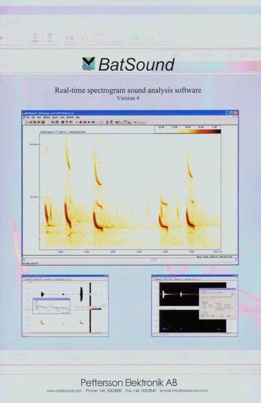 Pettersson's BatSound V4.x 7 Pettersson's BatSound V4.x - Image 7