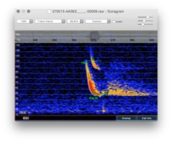 BcAnalyze 3.0 Pro Standalone