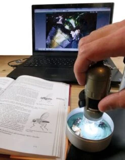 AM4113TL Dino-Lite 1.3MP (Long Working Distance) USB Digital Microscope -Wildlife Monitoring Equipment 190259 6