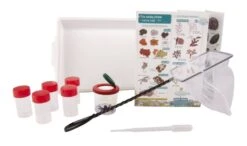 Educational Rock Pooling Kit