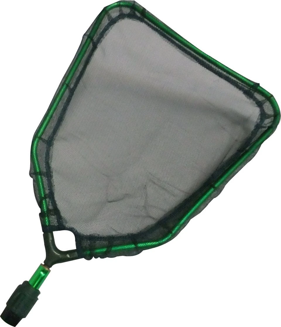 Herpetology Net Head