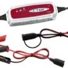 Battery Charger For 6V 1-100Ah Batteries
