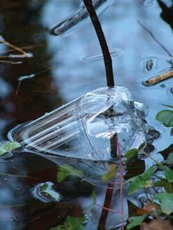 Wildlife Monitoring Equipment 5 Wildlife Monitoring Equipment -Wildlife Monitoring Equipment 205870 1