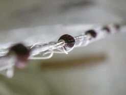 Monofilament Single Panel Survey Gill Nets 7 Monofilament Single Panel Survey Gill Nets -Wildlife Monitoring Equipment 206558 3