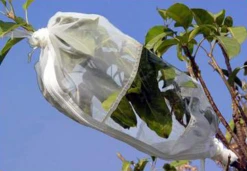 Insect Rearing Sleeve -Wildlife Monitoring Equipment 211891 1