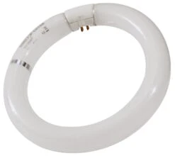 Sylvania 22W BL368 Circular Moth Trap Bulb