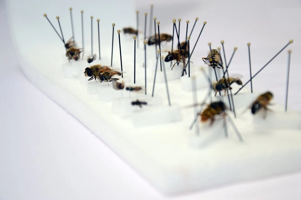 Plastazote Foam 2 Plastazote Foam - Image 2