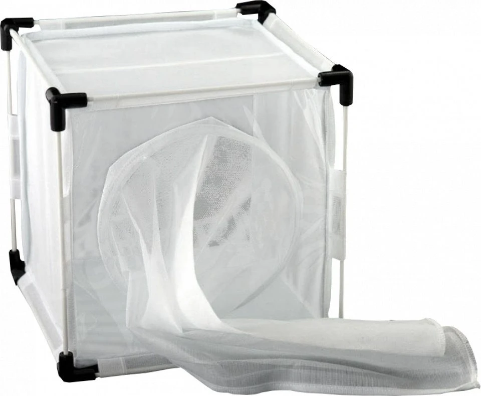 BugDorm-4 Insect Rearing Cage (24.5 X 24.5 X 24.5cm) 2 BugDorm-4 Insect Rearing Cage (24.5 X 24.5 X 24.5cm) - Image 2