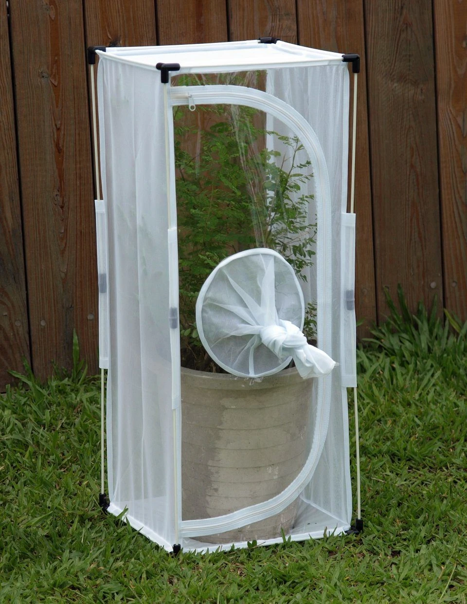 BugDorm-4 Insect Rearing Cage (32.5 X 32.5 X 77cm) 2 BugDorm-4 Insect Rearing Cage (32.5 X 32.5 X 77cm) - Image 2