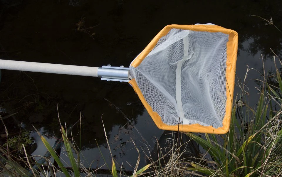 Traditional Amphibian Net