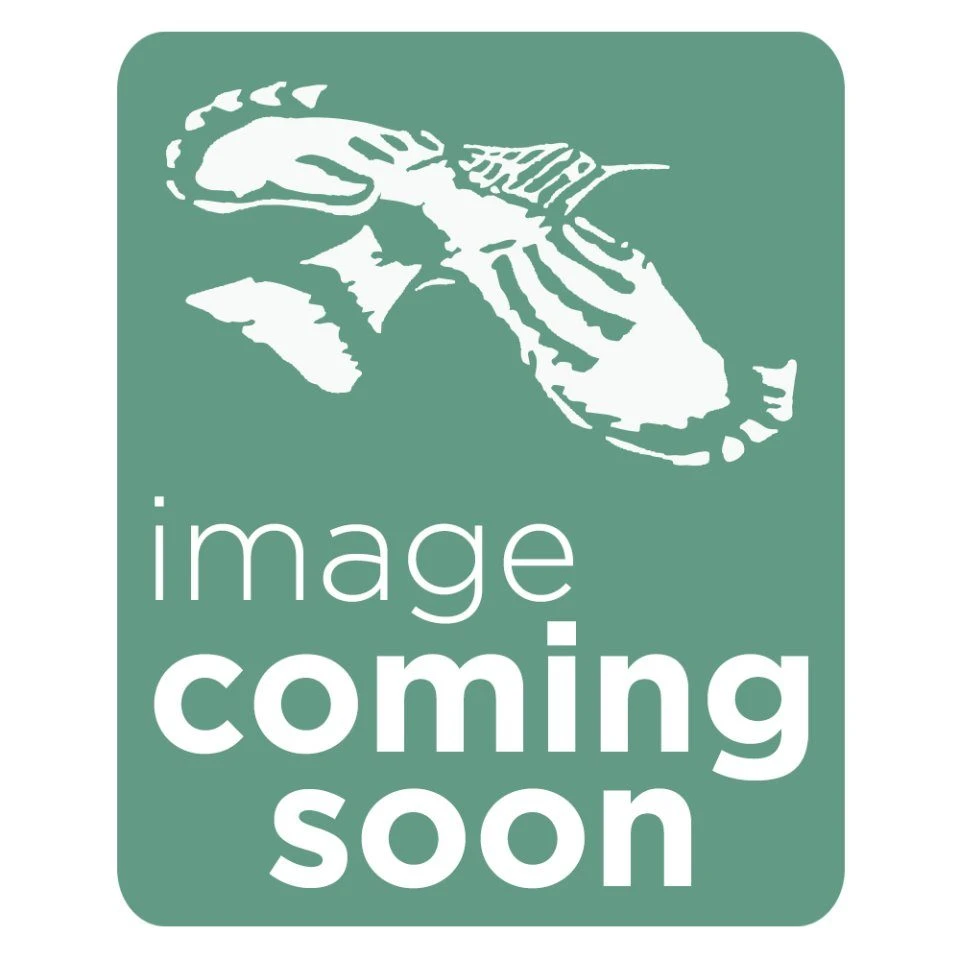 X20 Eyepieces 1 X20 Eyepieces