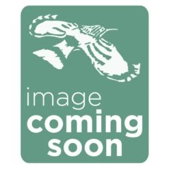 Stackable Rigid Sieve (160mm Diameter X 60mm Height) 8 Stackable Rigid Sieve (160mm Diameter X 60mm Height) -Wildlife Monitoring Equipment 229194 5