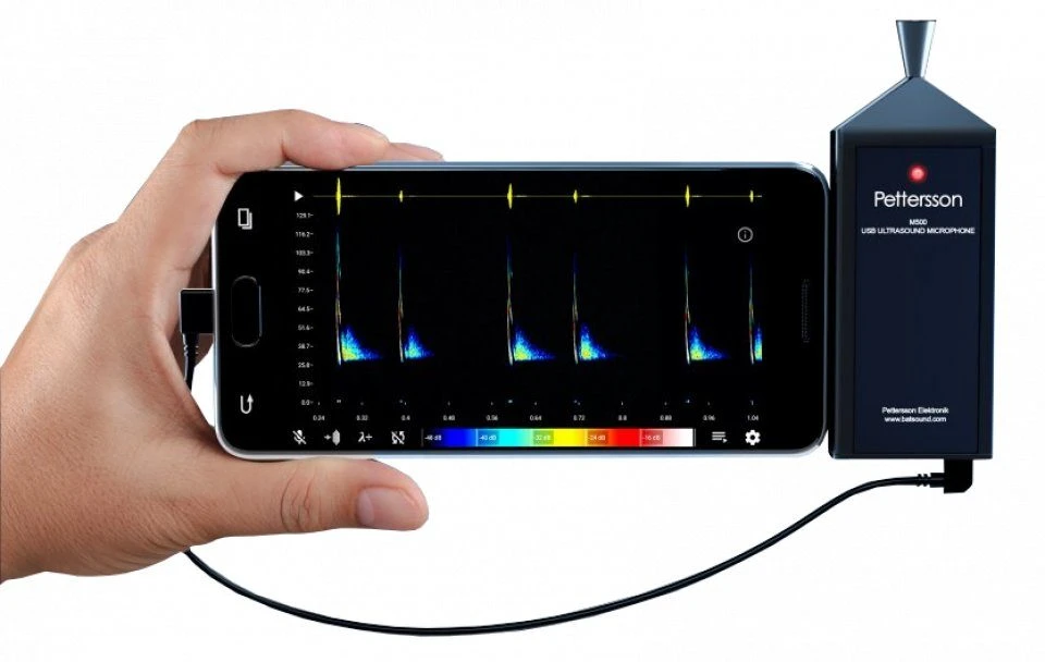 Pettersson M500-384 USB Ultrasound Microphone 1 Pettersson M500-384 USB Ultrasound Microphone