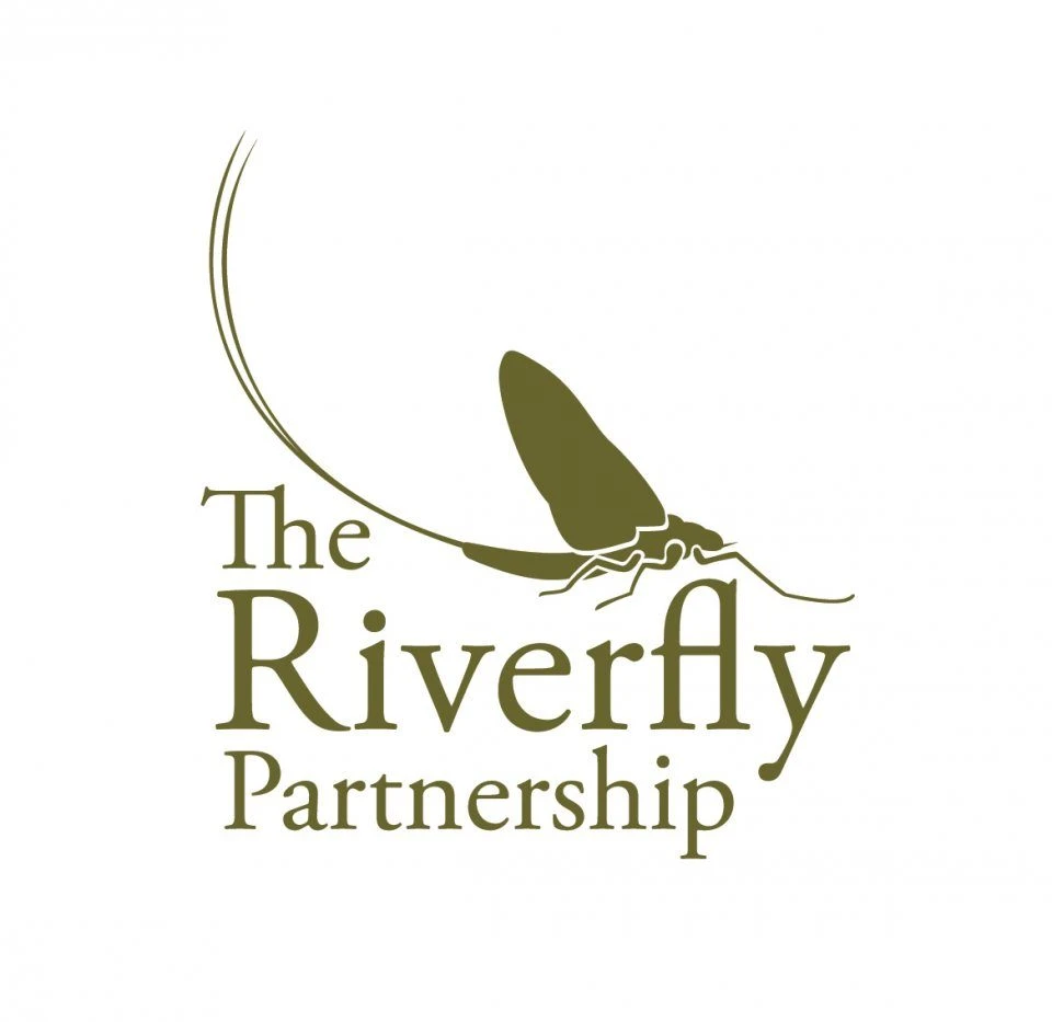 Riverfly Partnership Approved Kit 2 Riverfly Partnership Approved Kit - Image 2