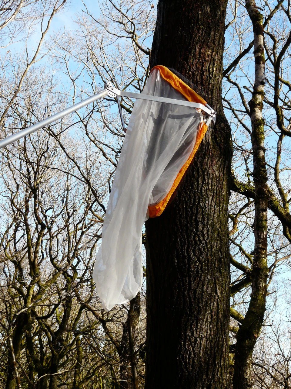 BTHK Tree-Roost Net 2 BTHK Tree-Roost Net - Image 2