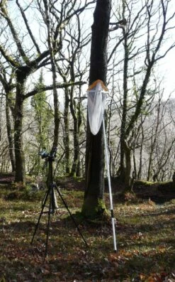 BTHK Tree-Roost Net 5 BTHK Tree-Roost Net -Wildlife Monitoring Equipment 235700 2