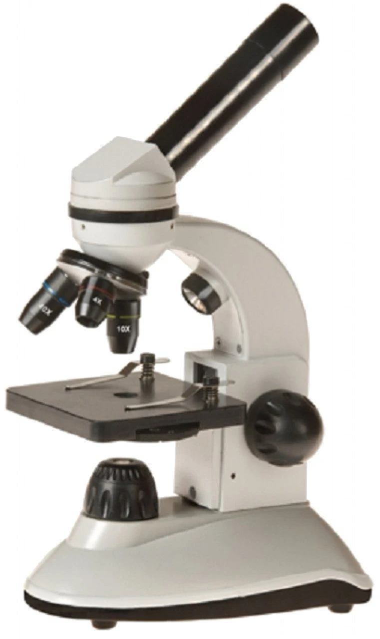 Scholaris-400 Dual LED Microscope 1 Scholaris-400 Dual LED Microscope
