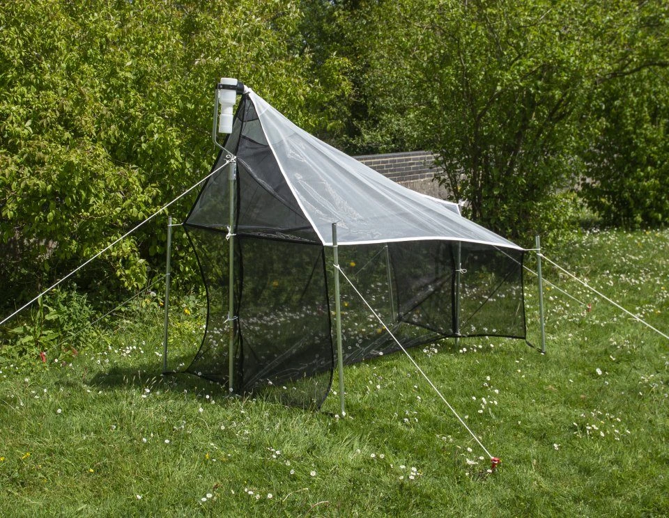 Malaise Trap 6 Malaise Trap - Image 6