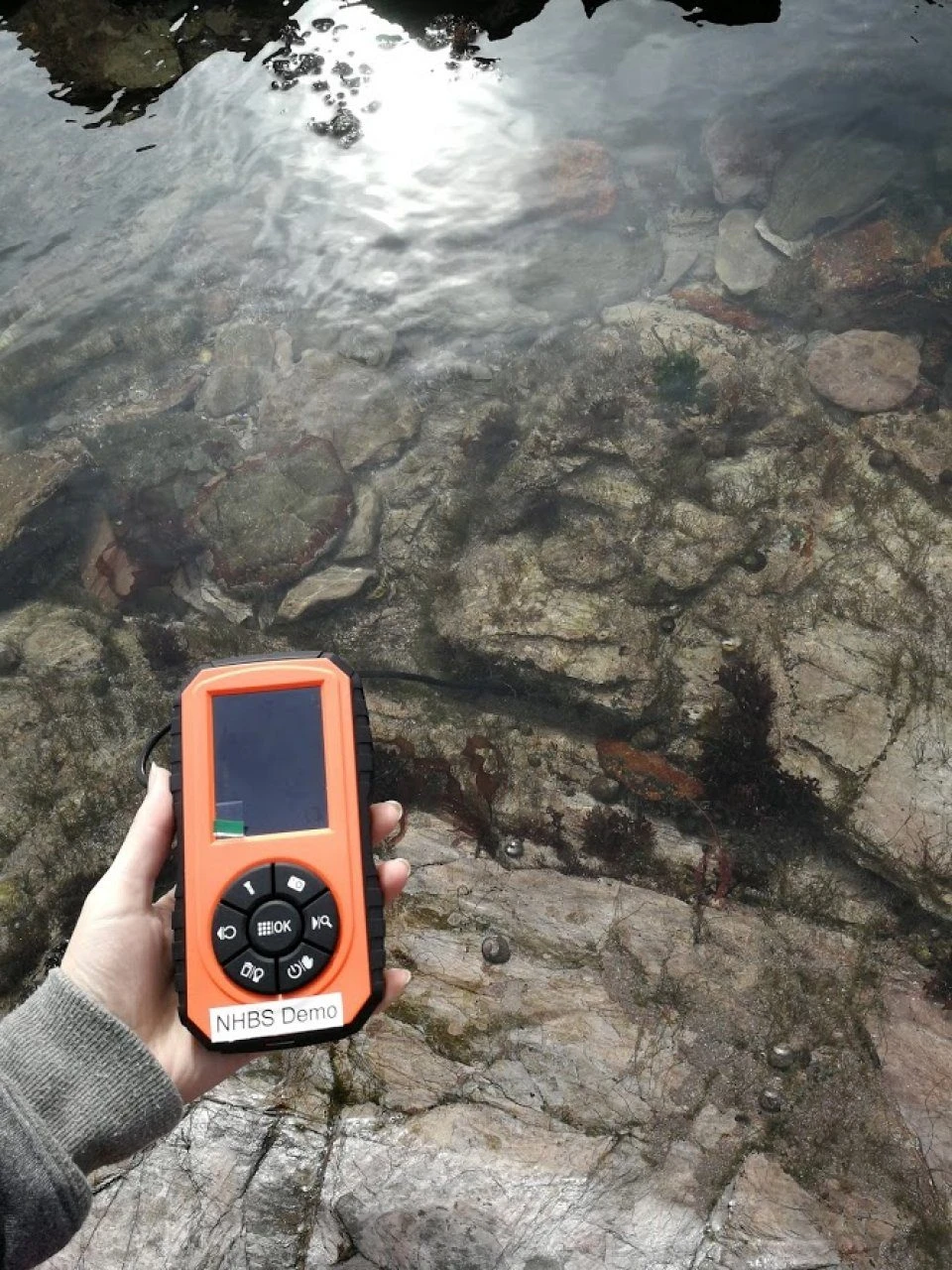 Video Endoscope 2 Video Endoscope - Image 2