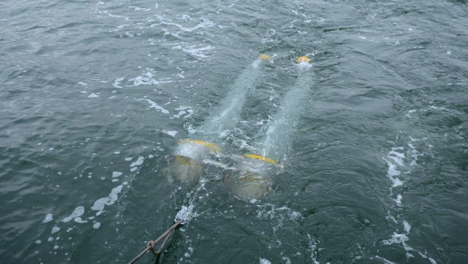 Bongo Plankton Net 2 Bongo Plankton Net - Image 2