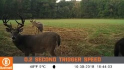 Bushnell CORE No Glow Trail Camera -Wildlife Monitoring Equipment 247177 6