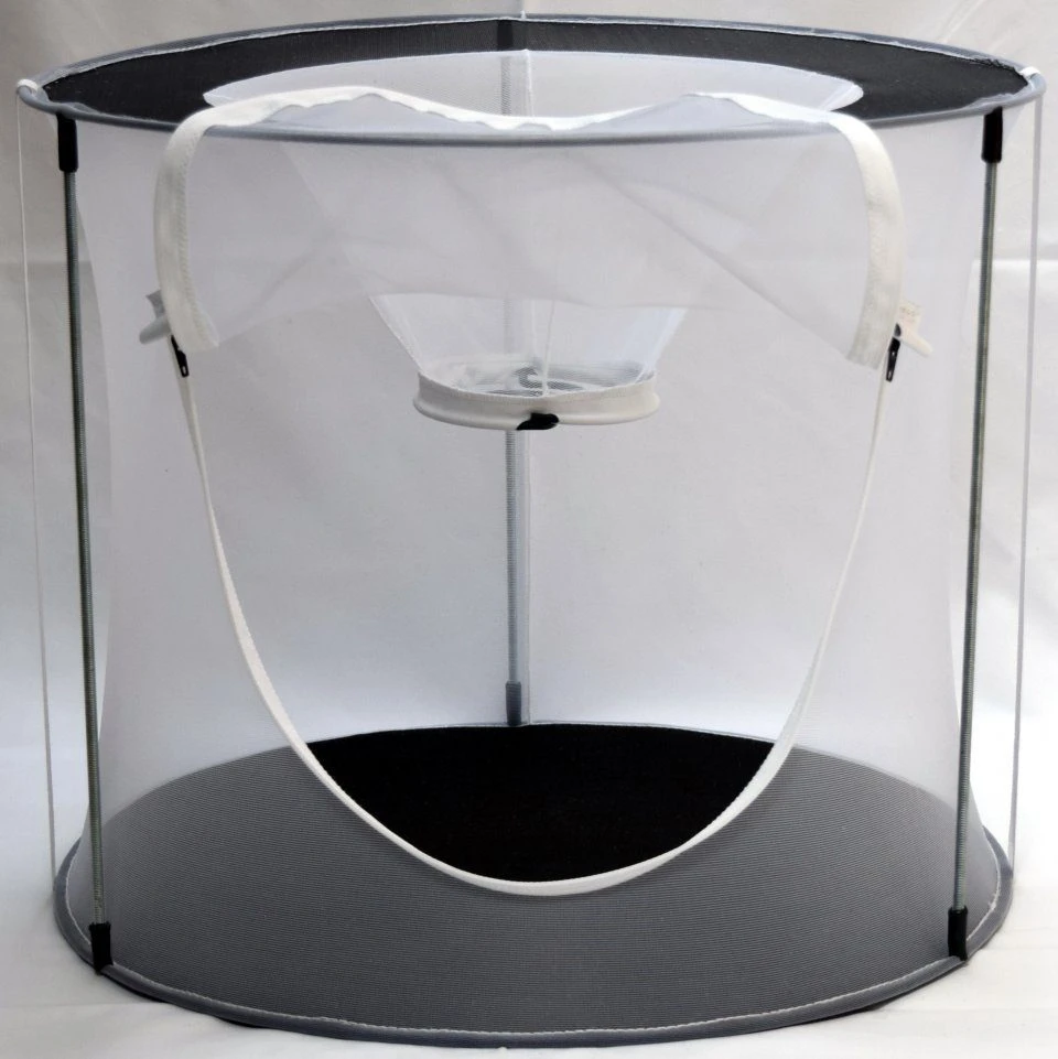 XL Safari Moth Trap 2 XL Safari Moth Trap - Image 2