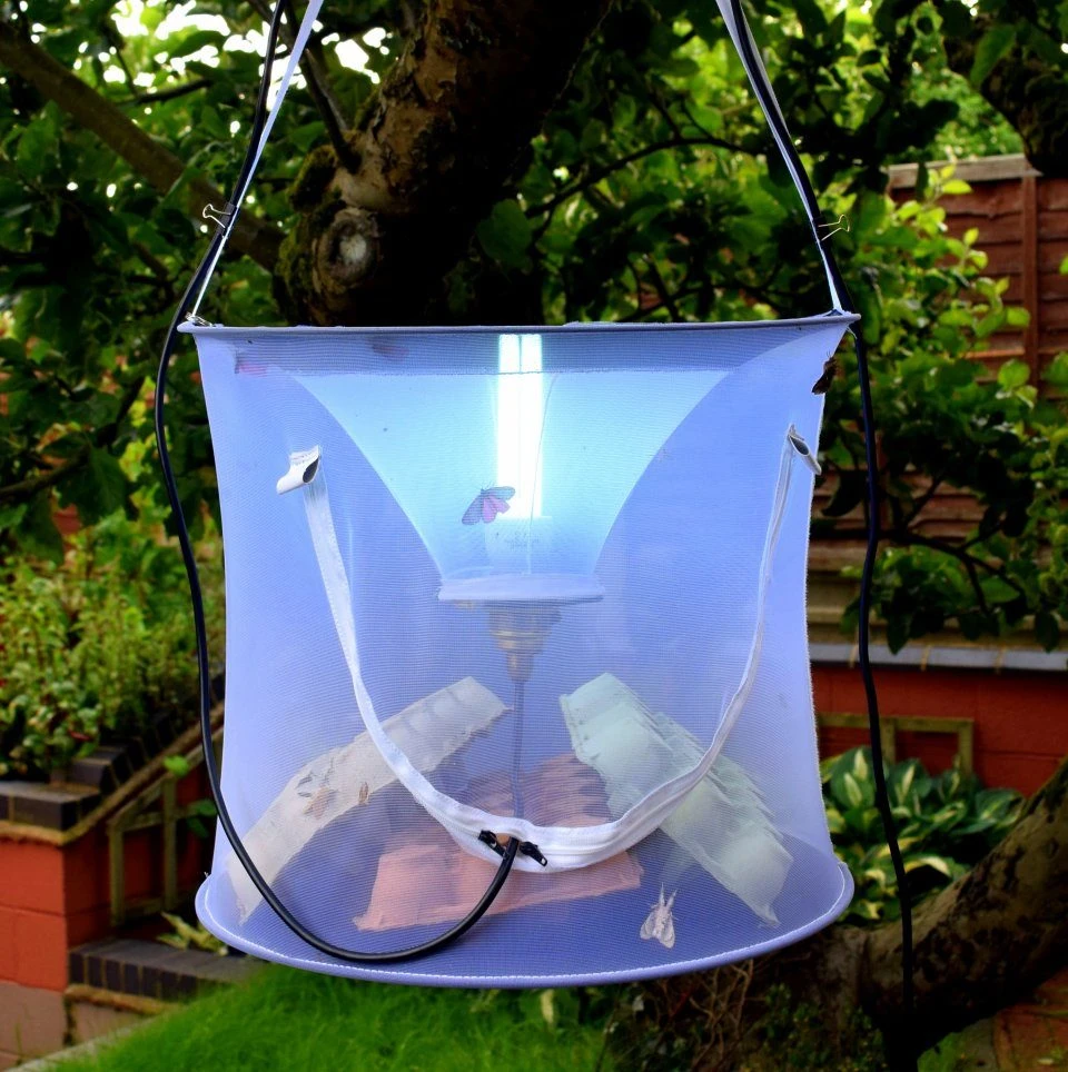 XL Safari Moth Trap 3 XL Safari Moth Trap - Image 3
