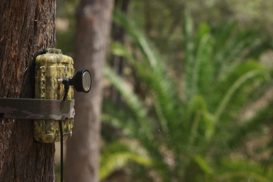 Directional Ultrasonic Microphone For Anabat Express And Anabat Swift 2 Directional Ultrasonic Microphone For Anabat Express And Anabat Swift - Image 2