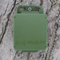 Song Meter Micro -Wildlife Monitoring Equipment 252322 2