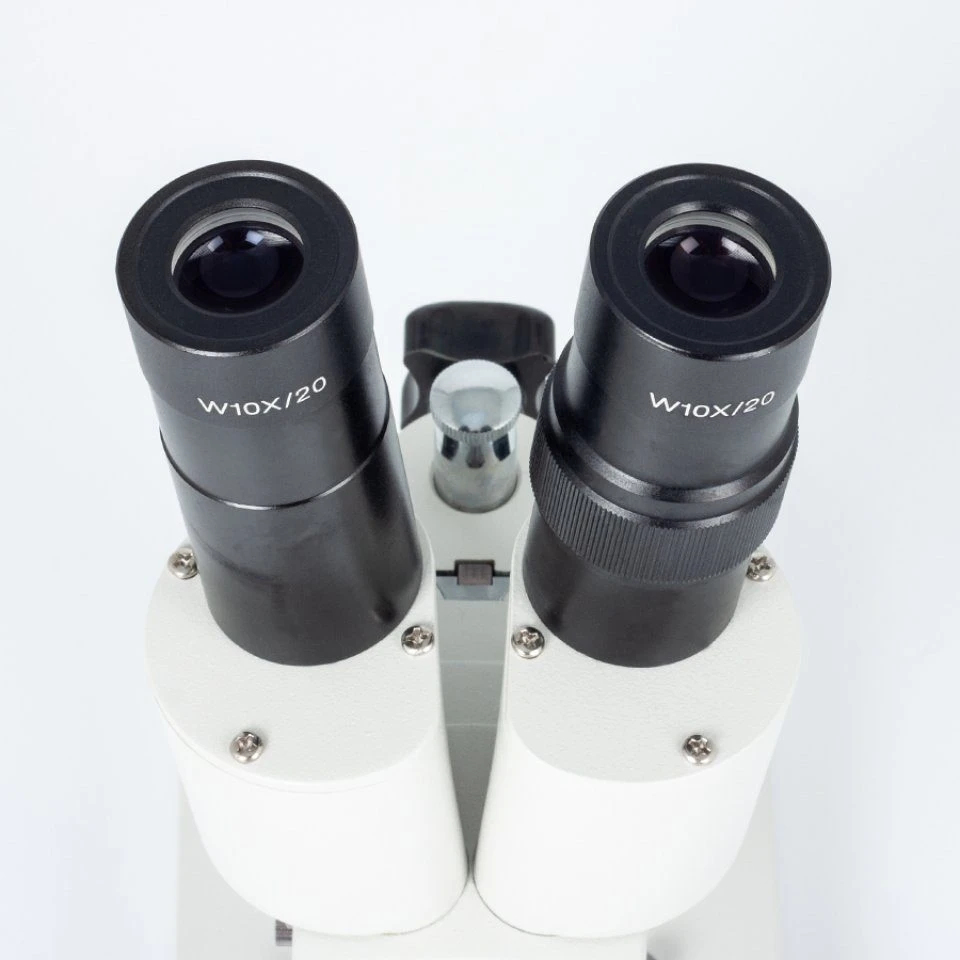 Motic S-10-P Stereo Microscope 4 Motic S-10-P Stereo Microscope - Image 4