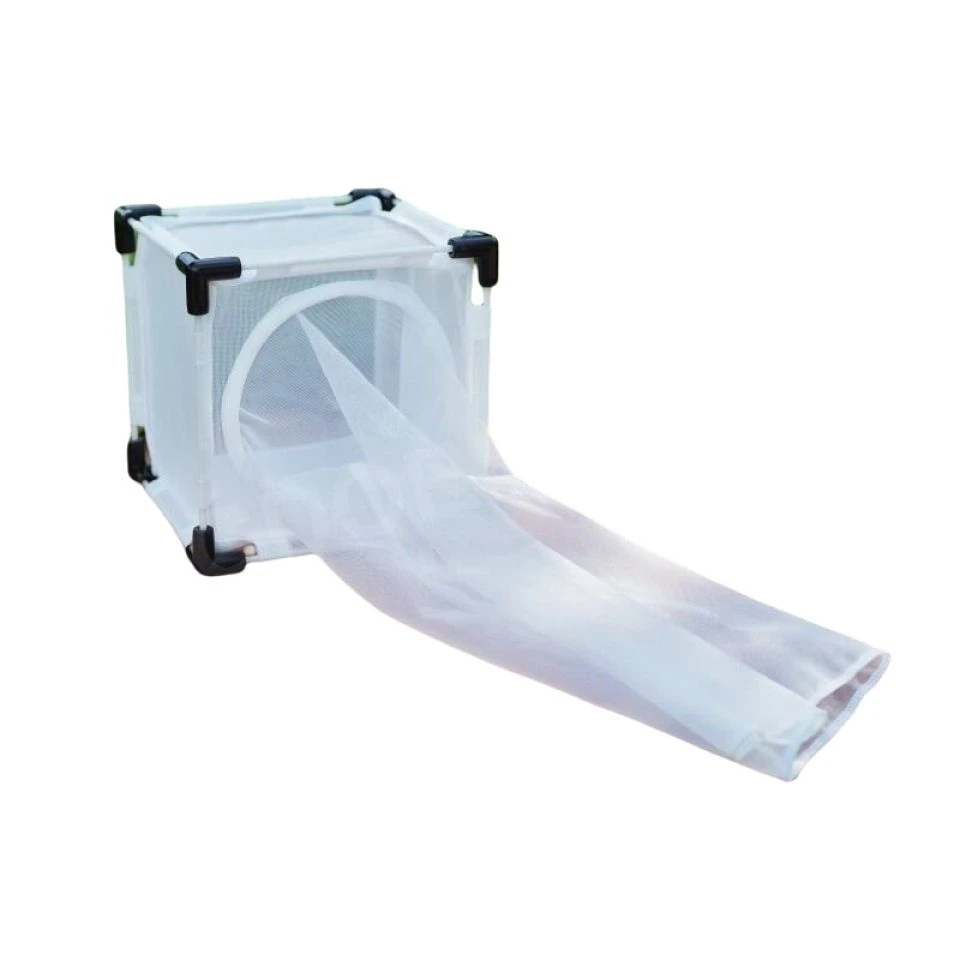 BugDorm-4 Insect Rearing Cage (17.5 X 17.5 X 17.5cm) 3 BugDorm-4 Insect Rearing Cage (17.5 X 17.5 X 17.5cm) - Image 3