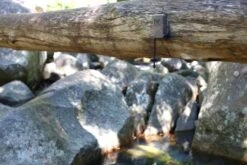 Titley Chorus -Wildlife Monitoring Equipment 255421 4