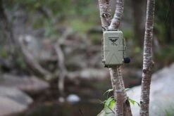 Titley Chorus -Wildlife Monitoring Equipment 255421 5