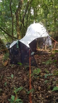 BugDorm Ez-Malaise Trap II