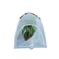 BugDorm-2 Small Insect Rearing Tent (60 X 60 X 60cm) 7 BugDorm-2 Small Insect Rearing Tent (60 X 60 X 60cm) -Wildlife Monitoring Equipment 256799 0