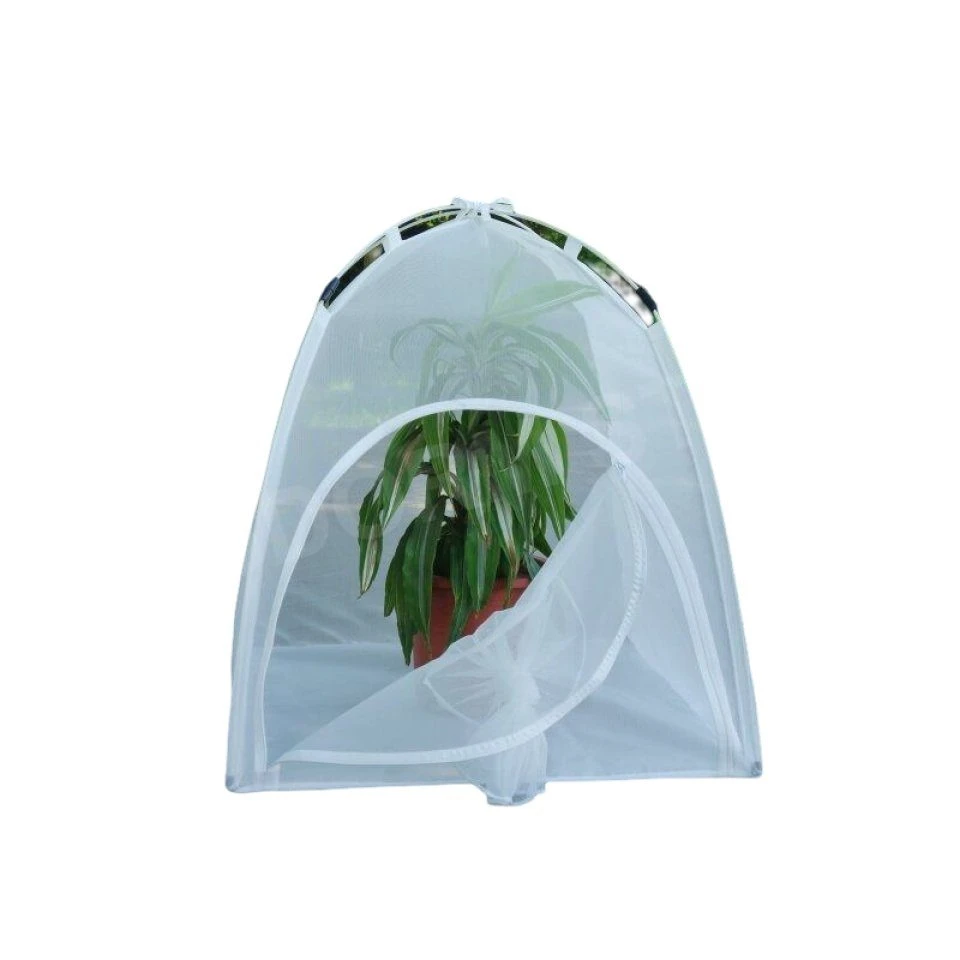 BugDorm-2 Small Insect Rearing Tent (60 X 60 X 60cm) 4 BugDorm-2 Small Insect Rearing Tent (60 X 60 X 60cm) - Image 4