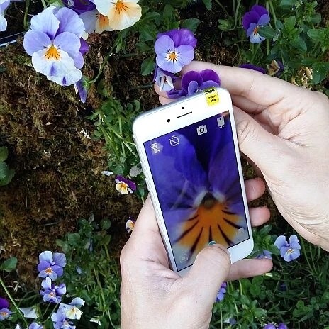 BLIPS Full Smartphone Macro Photography Kit 4 BLIPS Full Smartphone Macro Photography Kit - Image 4